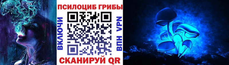 Галлюциногенные грибы GOLDEN TEACHER  Купить где  Чердынь 